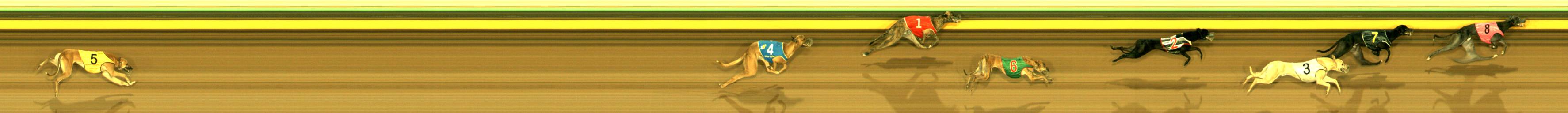 Race result finish photo